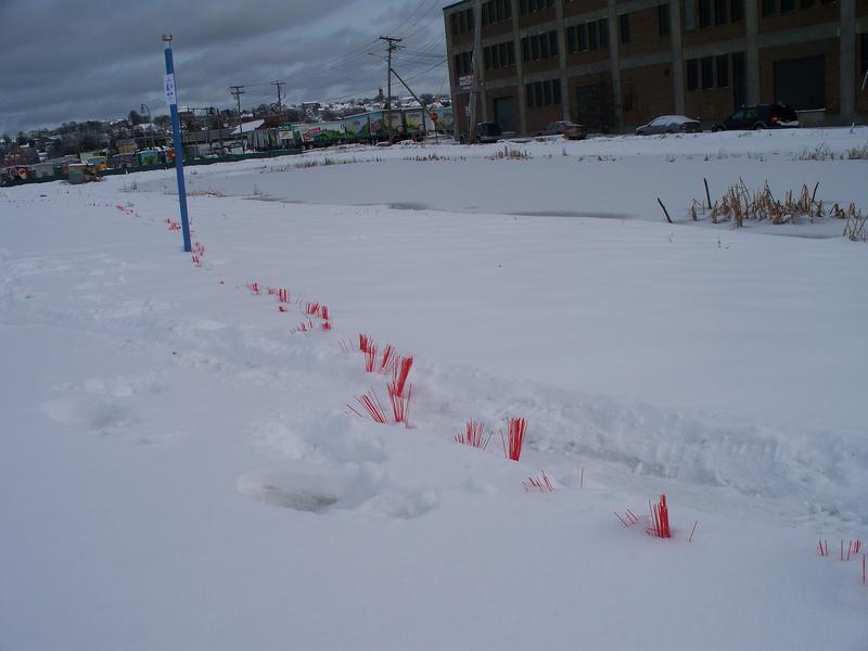 Red whiskers placed in Portland's Bayside neighborhood identify where the tide line would be if sea level rose by three feet.Source: The Forecaster